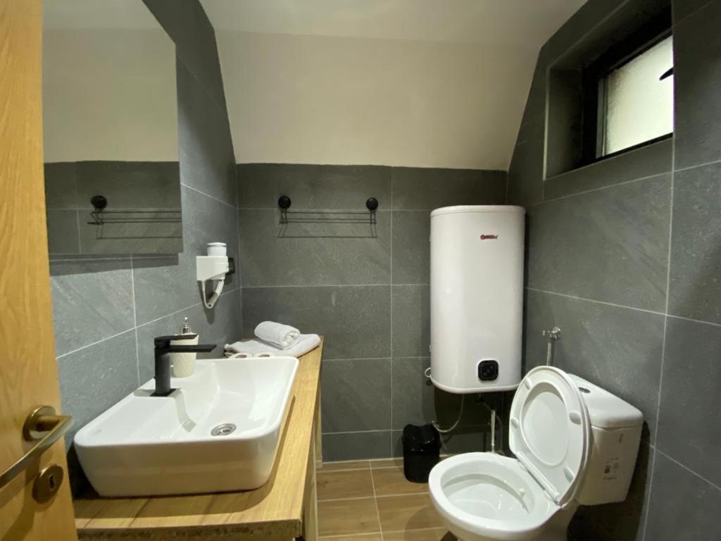 Dandelion House Villa Zabljak  Bagian luar foto